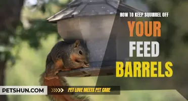 Tips on Keeping Squirrels Away from Your Feed Barrels