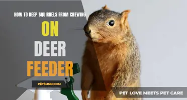 Preventing Squirrels from Damaging Your Deer Feeder: Effective Tips and Tricks