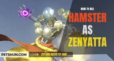 Masterful Strategies: How to Defeat the Hamster as Zenyatta