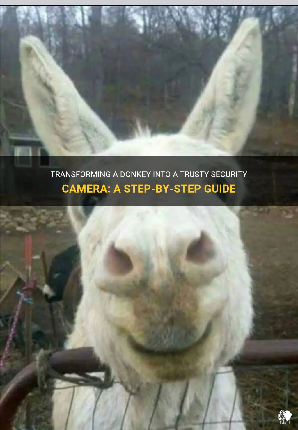 how to make a donkey into a security camera