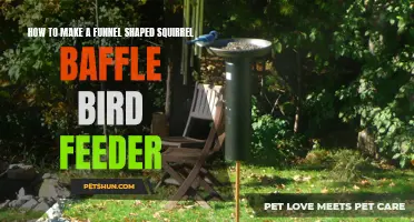 How to Create a Funnel Shaped Squirrel Baffle Bird Feeder