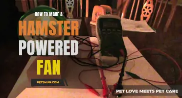 Crafting a DIY Hamster Powered Fan: Keep Cool with Your Furry Friend's Energy!