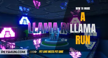 The Ultimate Guide to Making a Llama Run like Never Before