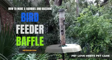 Protect Your Bird Feeder from Squirrels and Raccoons with This DIY Baffle Design