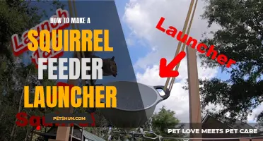 Building a Homemade Squirrel Feeder Launcher: Step-by-Step Guide to Fun and Excitement