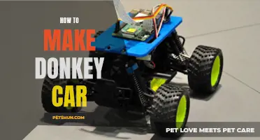 Creating Your Own Donkey Car: A Step-by-Step Guide
