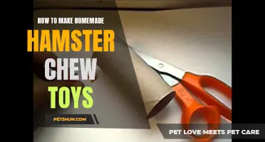 Creating Homemade Hamster Chew Toys: A Guide to Keeping Your Furry Friend Busy and Happy