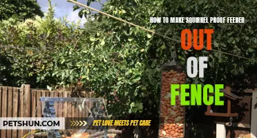 Creating an Effective Squirrel-Proof Feeder Using a Fence: Simple DIY Guide