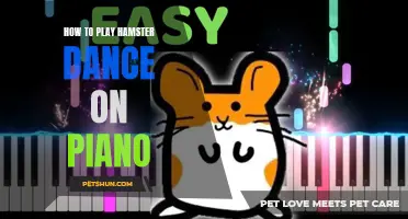 Mastering the Delightful Melodies of the Hamster Dance on Piano