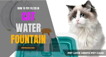 How to Properly Install a Filter in a Cat Water Fountain