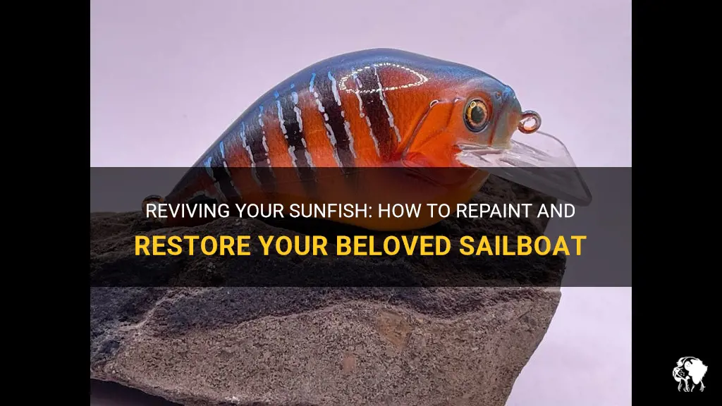 how to repaint a sunfish