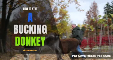 Ultimate Guide to Calming a Bucking Donkey: Proven Techniques and Tips