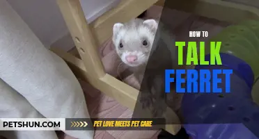 Unveiling the Art of Communicating with Ferrets