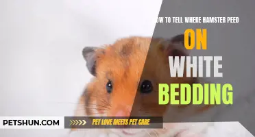 How to Identify Where Your Hamster Peed on White Bedding