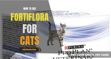 Maximizing the Benefits of Fortiflora for Cats: A Comprehensive Guide