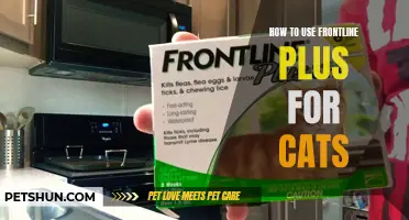 A Comprehensive Guide on Using Frontline Plus for Cats