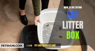Master the Art of Using a Sifting Cat Litter Box