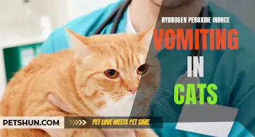 How to Induce Vomiting in Cats Using Hydrogen Peroxide