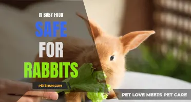 Exploring the Safety of Baby Food for Rabbits: What Every Pet Owner Should Know