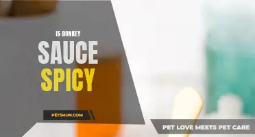 Exploring the Spiciness of Donkey Sauce: A Fiery Flavour or Mild Delight?
