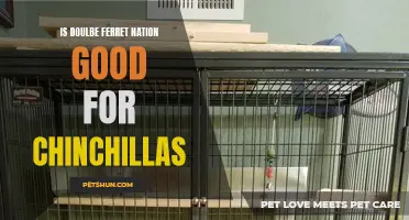 Understanding the Benefits of the Double Ferret Nation for Chinchillas