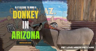 The Legality of Hanging a Donkey in Arizona: Exploring Animal Cruelty Laws