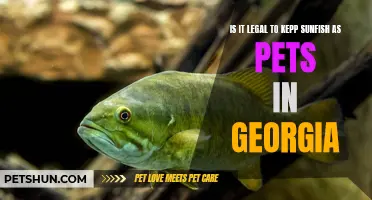 Is it Legal to Keep Sunfish as Pets in Georgia?