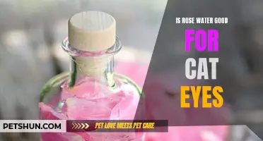 The Benefits of Rose Water for Soothing Cat Eyes