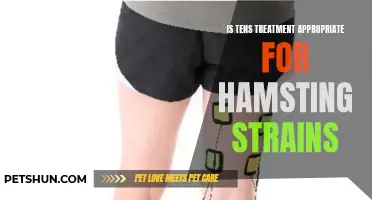 Effectiveness of TENS Treatment for Hamstring Strains: A Comprehensive Analysis