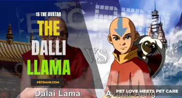 Is the Avatar the Dalai Lama? Exploring the Connection Between the Two Spiritual Figures