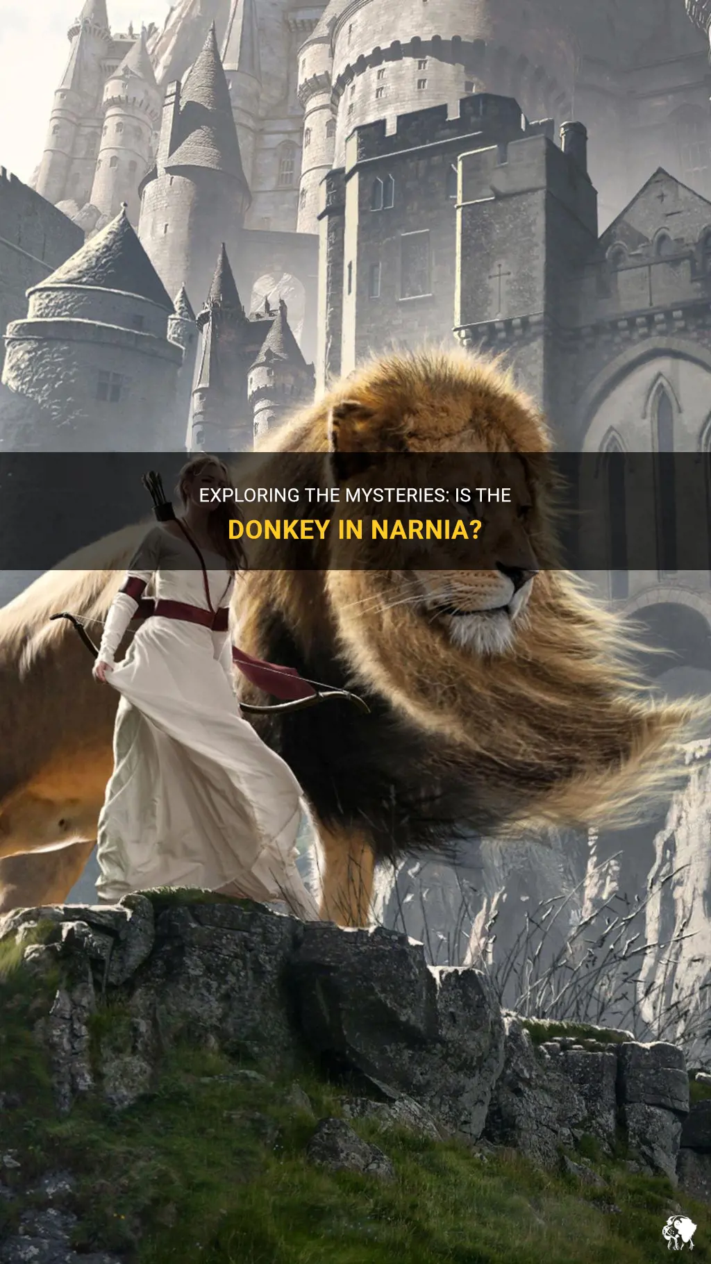is the donkey in narnia