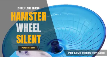 Is the Flying Saucer Hamster Wheel Silent or Noisy?