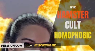 Exploring the Hamster Cult: Addressing the Issue of Homophobia