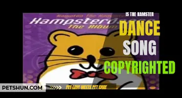 Understanding the Copyright Status of the Hamster Dance Song