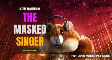 Unmasking the Truth: Is the Hamster on The Masked Singer?