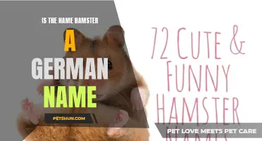 The Origins and Cultural Significance of the Name "Hamster" in Germany