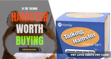 Discover if the Talking Hamster is Worth Buying: A Comprehensive Review