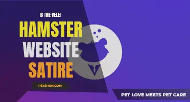 Unveiling the Truth: Is the Velvet Hamster Website Truly Satire?
