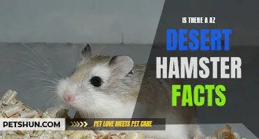 Exploring the Enigma: Unveiling the Facts of the Arizona Desert Hamster