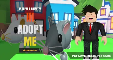 Uncovering the Truth: Is There a Hamster Waiting to be Adopted in Roblox's 'Adopt Me' Game?