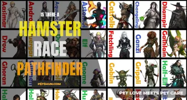 Exploring the Possibility of a Hamster Race in Pathfinder: Is it Feasible?