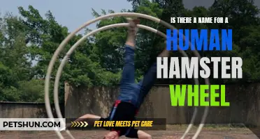 What Is the Official Term for a Human Hamster Wheel?