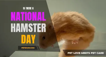 Exploring the Existence of National Hamster Day: Is It Real or Fiction?