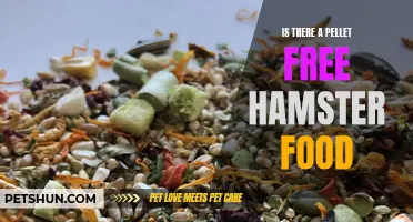 The Search for Pellet-Free Hamster Food: A Guide for Pet Owners