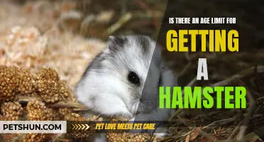 Determining the Appropriate Age to Get a Hamster: A Guide for Pet Lovers