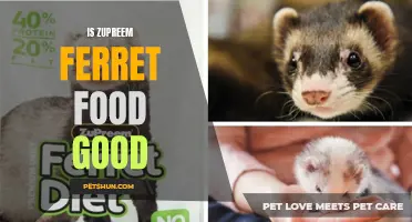 Is Zupreem Ferret Food Good for Your Furry Friend?