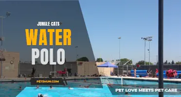 The Ferocious Jungle Cats Dominating the Water Polo Arena