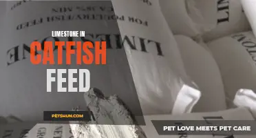 The Role of Limestone in Catfish Feed: Benefits and Considerations