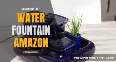 Discover the Miaustore Cat Water Fountain on Amazon for Happy and Hydrated Felines