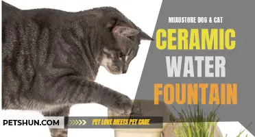 The Benefits of Using a Miaustore Dog & Cat Ceramic Water Fountain